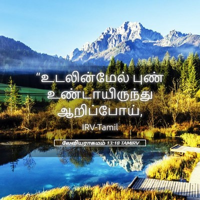 Picture 05 - லேவியராகமம் 13:18 TAMIRV - “உடலின்மேல் புண் - Bible Verse Picture