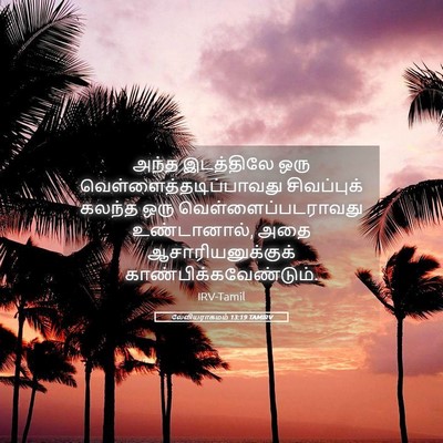 Picture 05 - லேவியராகமம் 13:19 TAMIRV - அந்த இடத்திலே ஒரு - Bible Verse Picture