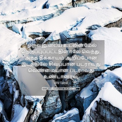 Picture 05 - லேவியராகமம் 13:24 TAMIRV - “ஒருவனுடைய - Bible Verse Picture