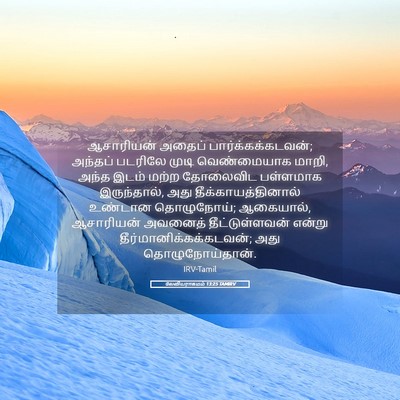 Picture 05 - லேவியராகமம் 13:25 TAMIRV - ஆசாரியன் அதைப் - Bible Verse Picture
