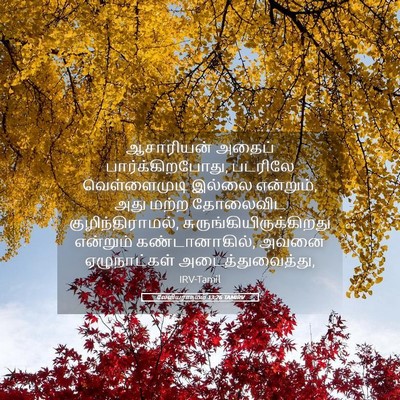 Picture 05 - லேவியராகமம் 13:26 TAMIRV - ஆசாரியன் அதைப் - Bible Verse Picture