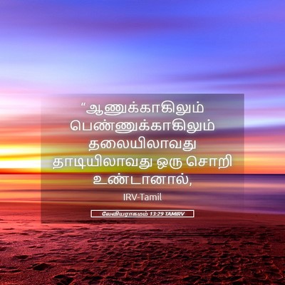Picture 05 - லேவியராகமம் 13:29 TAMIRV - “ஆணுக்காகிலும் - Bible Verse Picture