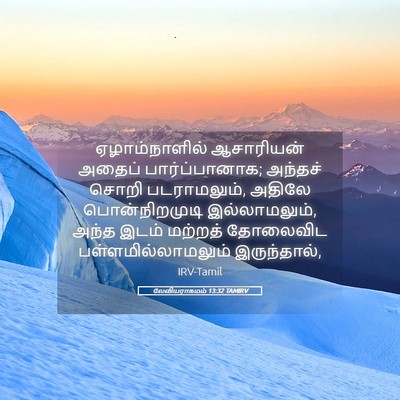 Picture 05 - லேவியராகமம் 13:32 TAMIRV - ஏழாம்நாளில் - Bible Verse Picture