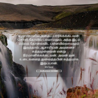 Picture 05 - லேவியராகமம் 13:34 TAMIRV - ஏழாம்நாளில் அதைப் - Bible Verse Picture