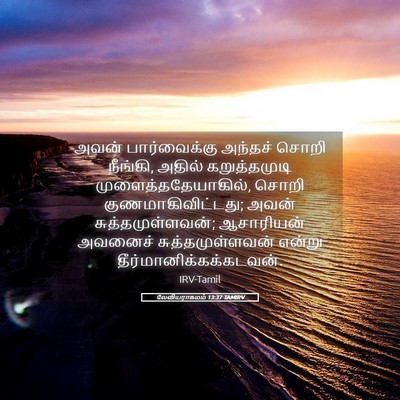 Picture 05 - லேவியராகமம் 13:37 TAMIRV - அவன் பார்வைக்கு - Bible Verse Picture