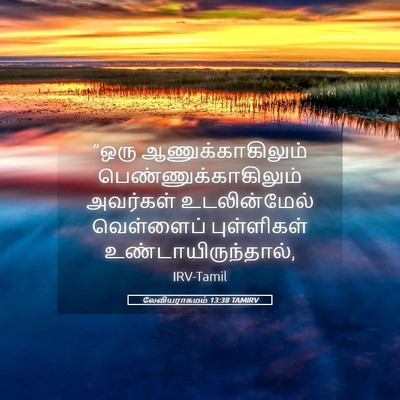 Picture 05 - லேவியராகமம் 13:38 TAMIRV - “ஒரு - Bible Verse Picture