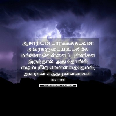 Picture 05 - லேவியராகமம் 13:39 TAMIRV - ஆசாரியன் - Bible Verse Picture