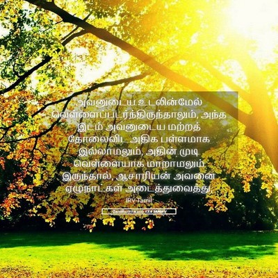 Picture 05 - லேவியராகமம் 13:4 TAMIRV - அவனுடைய - Bible Verse Picture