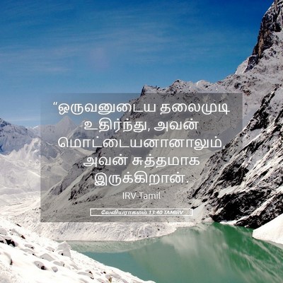 Picture 05 - லேவியராகமம் 13:40 TAMIRV - “ஒருவனுடைய - Bible Verse Picture