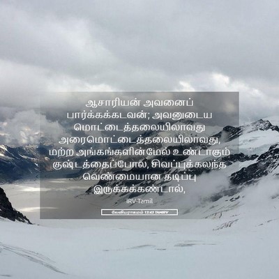 Picture 05 - லேவியராகமம் 13:43 TAMIRV - ஆசாரியன் அவனைப் - Bible Verse Picture
