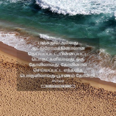 Picture 05 - லேவியராகமம் 13:48 TAMIRV - பஞ்சுநூல் அல்லது - Bible Verse Picture