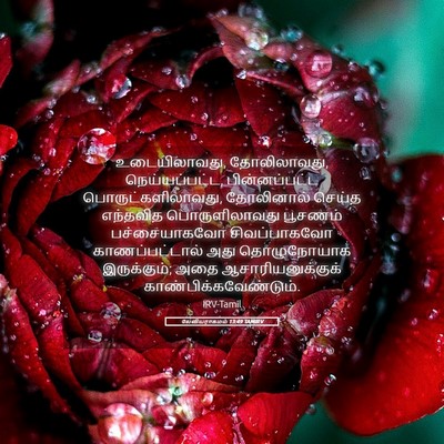 Picture 05 - லேவியராகமம் 13:49 TAMIRV - உடையிலாவது, - Bible Verse Picture