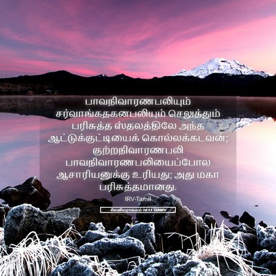 Picture 05 - லேவியராகமம் 14:13 TAMIRV - பாவநிவாரணபலியும் - Bible Verse Picture