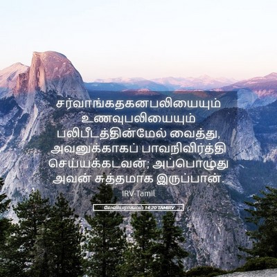 Picture 05 - லேவியராகமம் 14:20 TAMIRV -  - Bible Verse Picture