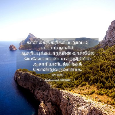 Picture 05 - லேவியராகமம் 14:23 TAMIRV - தான் - Bible Verse Picture
