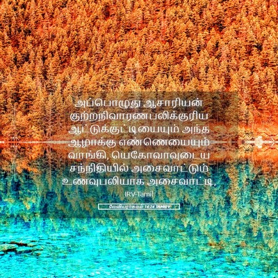 Picture 05 - லேவியராகமம் 14:24 TAMIRV - அப்பொழுது - Bible Verse Picture