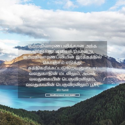 Picture 05 - லேவியராகமம் 14:25 TAMIRV -  - Bible Verse Picture