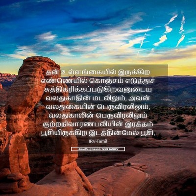 Picture 05 - லேவியராகமம் 14:28 TAMIRV - தன் உள்ளங்கையில் - Bible Verse Picture