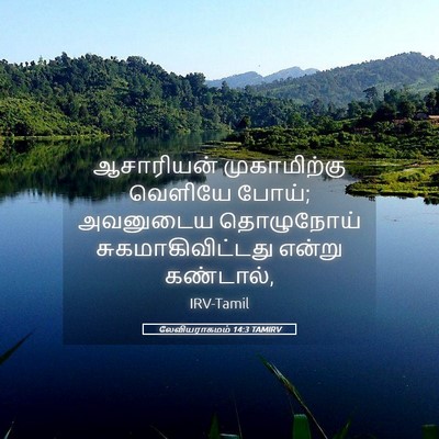 Picture 05 - லேவியராகமம் 14:3 TAMIRV - ஆசாரியன் - Bible Verse Picture