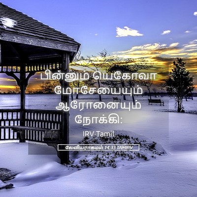 Picture 05 - லேவியராகமம் 14:33 TAMIRV - பின்னும் யெகோவா - Bible Verse Picture