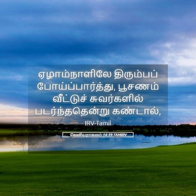 Picture 05 - லேவியராகமம் 14:39 TAMIRV - ஏழாம்நாளிலே - Bible Verse Picture