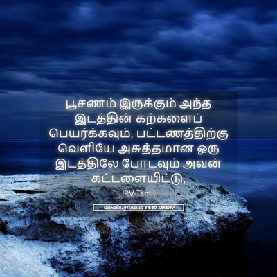 Picture 05 - லேவியராகமம் 14:40 TAMIRV - பூசணம் இருக்கும் - Bible Verse Picture