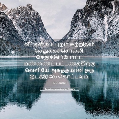 Picture 05 - லேவியராகமம் 14:41 TAMIRV - வீட்டின் உட்புறம் - Bible Verse Picture