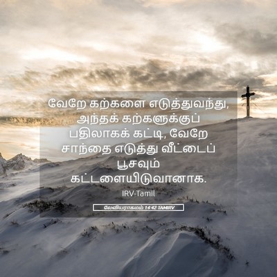 Picture 05 - லேவியராகமம் 14:42 TAMIRV - வேறே கற்களை - Bible Verse Picture