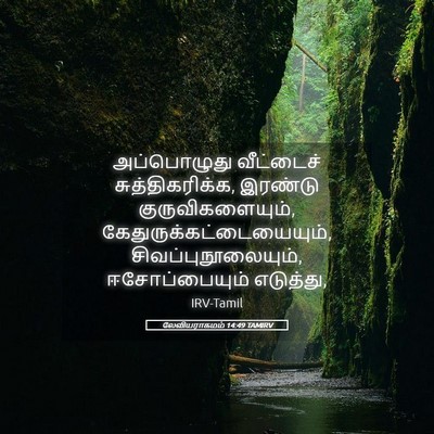 Picture 05 - லேவியராகமம் 14:49 TAMIRV - அப்பொழுது - Bible Verse Picture