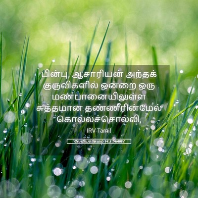 Picture 05 - லேவியராகமம் 14:5 TAMIRV - பின்பு, ஆசாரியன் - Bible Verse Picture