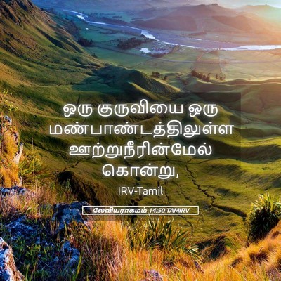 Picture 05 - லேவியராகமம் 14:50 TAMIRV - ஒரு குருவியை ஒரு - Bible Verse Picture