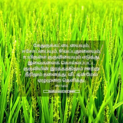 Picture 05 - லேவியராகமம் 14:51 TAMIRV -  - Bible Verse Picture
