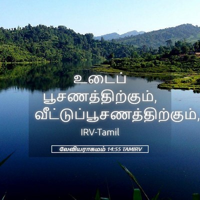 Picture 05 - லேவியராகமம் 14:55 TAMIRV - உடைப் - Bible Verse Picture