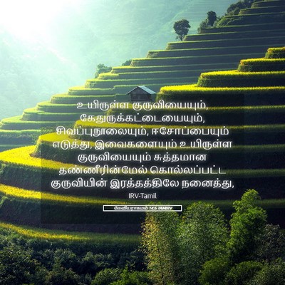 Picture 05 - லேவியராகமம் 14:6 TAMIRV - உயிருள்ள - Bible Verse Picture