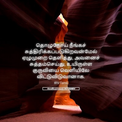 Picture 05 - லேவியராகமம் 14:7 TAMIRV - தொழுநோய் நீங்கச் - Bible Verse Picture