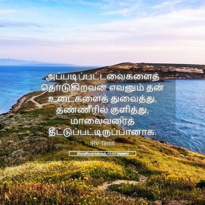 Picture 05 - லேவியராகமம் 15:27 TAMIRV -  - Bible Verse Picture