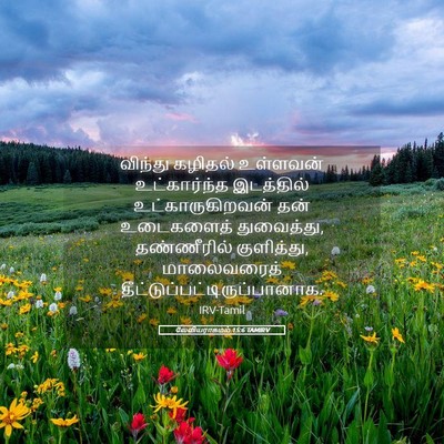Picture 05 - லேவியராகமம் 15:6 TAMIRV - விந்து கழிதல் - Bible Verse Picture