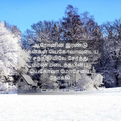 Picture 05 - லேவியராகமம் 16:1 TAMIRV - ஆரோனின் இரண்டு - Bible Verse Picture