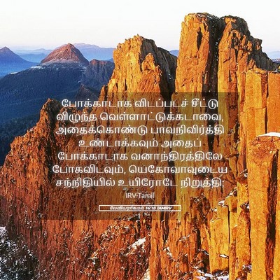 Picture 05 - லேவியராகமம் 16:10 TAMIRV - போக்காடாக - Bible Verse Picture