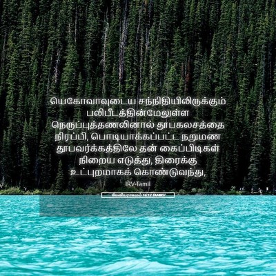 Picture 05 - லேவியராகமம் 16:12 TAMIRV - யெகோவாவுடைய - Bible Verse Picture