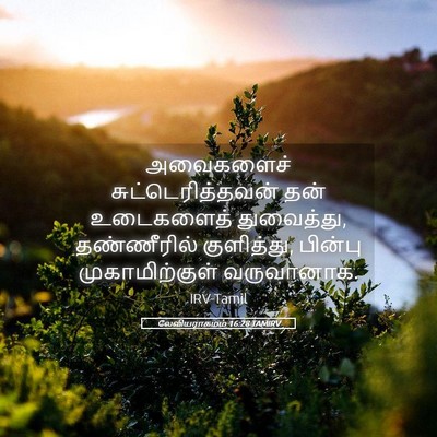 Picture 05 - லேவியராகமம் 16:28 TAMIRV - அவைகளைச் - Bible Verse Picture