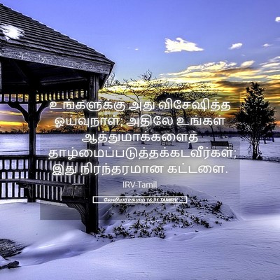 Picture 05 - லேவியராகமம் 16:31 TAMIRV - உங்களுக்கு அது - Bible Verse Picture
