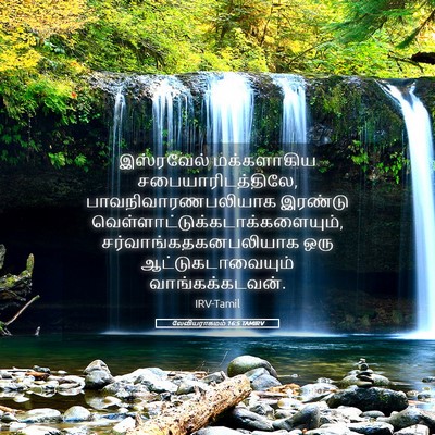 Picture 05 - லேவியராகமம் 16:5 TAMIRV - இஸ்ரவேல் - Bible Verse Picture