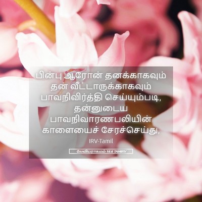 Picture 05 - லேவியராகமம் 16:6 TAMIRV - பின்பு ஆரோன் - Bible Verse Picture