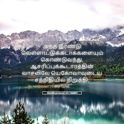 Picture 05 - லேவியராகமம் 16:7 TAMIRV - அந்த இரண்டு - Bible Verse Picture