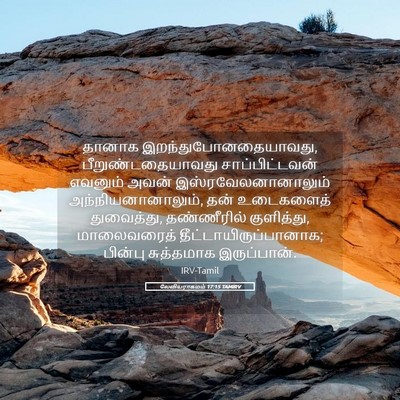 Picture 05 - லேவியராகமம் 17:15 TAMIRV - தானாக - Bible Verse Picture