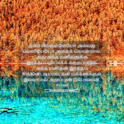 Picture 05 - லேவியராகமம் 17:4 TAMIRV - முகாமிற்குள்ளேயோ - Bible Verse Picture