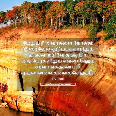 Picture 05 - லேவியராகமம் 17:8 TAMIRV - மேலும் நீ அவர்களை - Bible Verse Picture