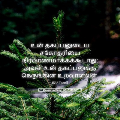 Picture 05 - லேவியராகமம் 18:12 TAMIRV - உன் தகப்பனுடைய - Bible Verse Picture