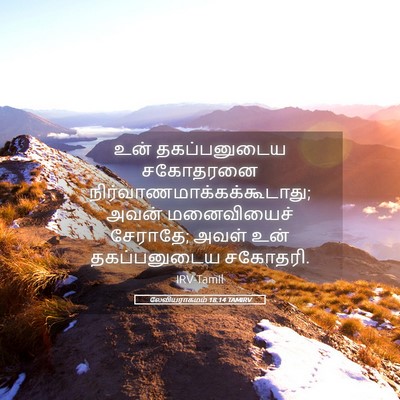 Picture 05 - லேவியராகமம் 18:14 TAMIRV - உன் தகப்பனுடைய - Bible Verse Picture